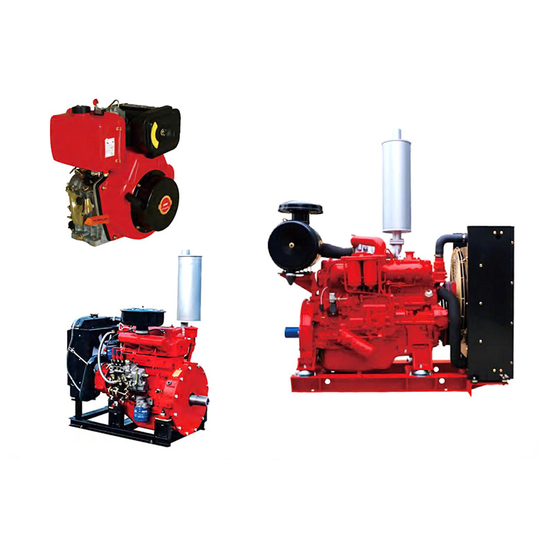 Motore diesel D per pompa